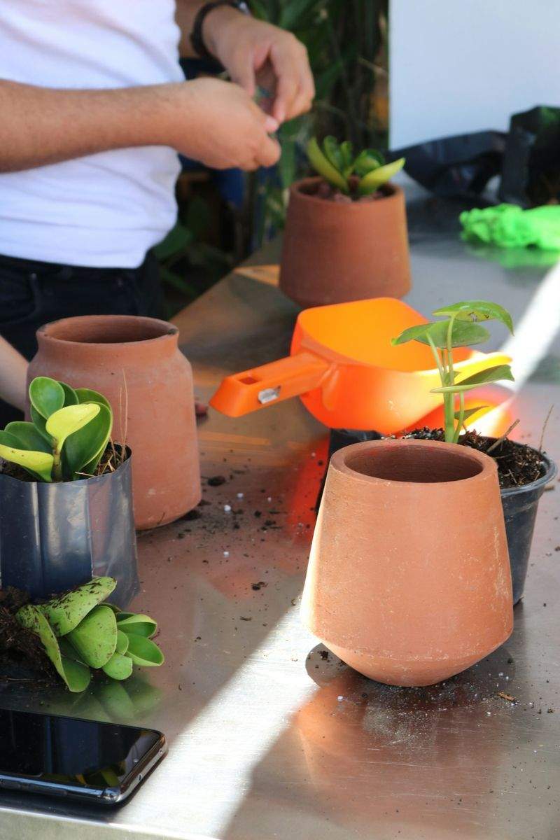 植栽デザイン・季節の花壇づくり